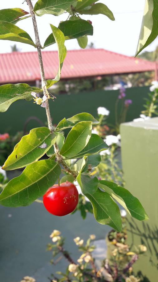 Heavenly Homestay Kochi ภายนอก รูปภาพ