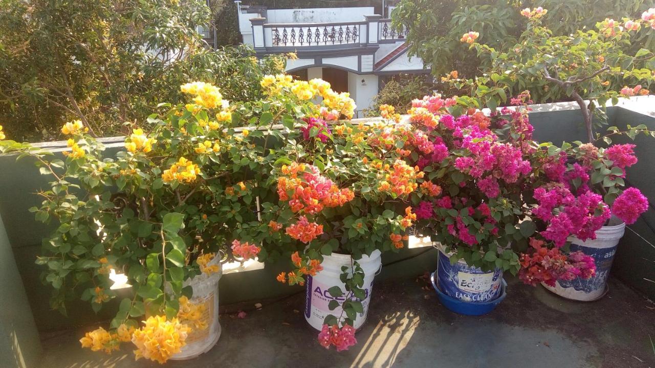 Heavenly Homestay Kochi ภายนอก รูปภาพ