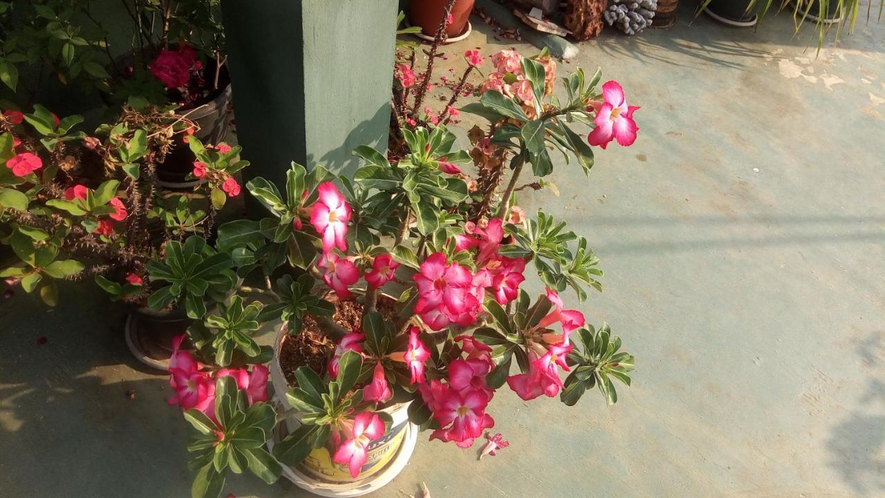 Heavenly Homestay Kochi ภายนอก รูปภาพ